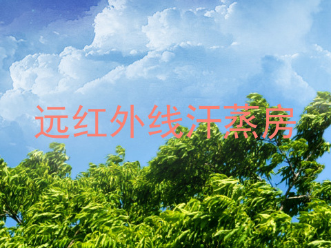 远红外线汗蒸房