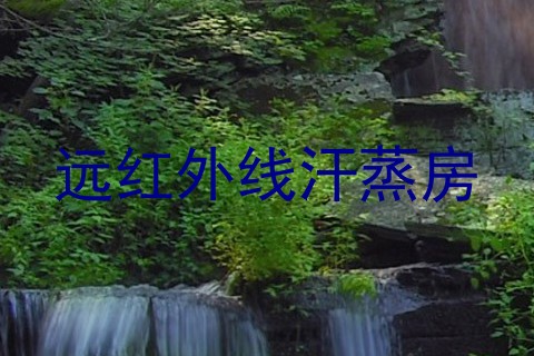 远红外线汗蒸房