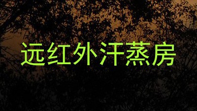 远红外汗蒸房