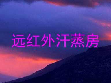远红外汗蒸房