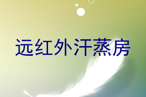 远红外汗蒸房