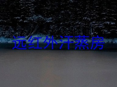 远红外汗蒸房