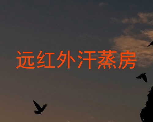 远红外汗蒸房