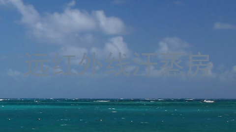 远红外线汗蒸房