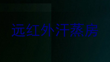 远红外汗蒸房