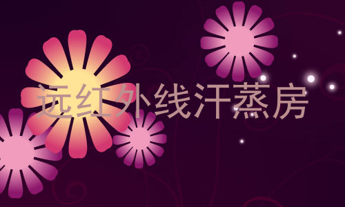 远红外线汗蒸房