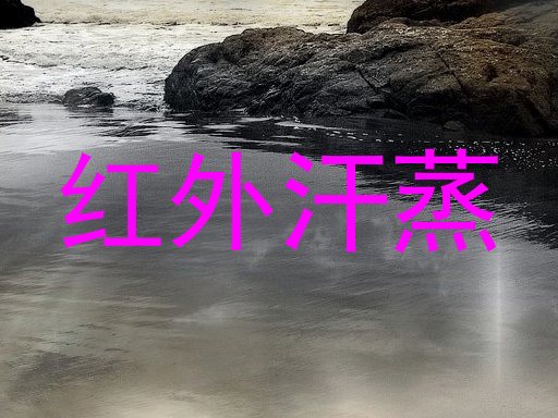 红外汗蒸