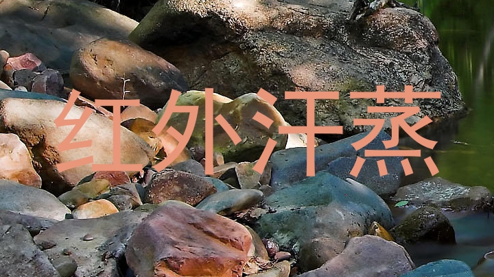 红外汗蒸