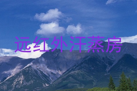 远红外汗蒸房