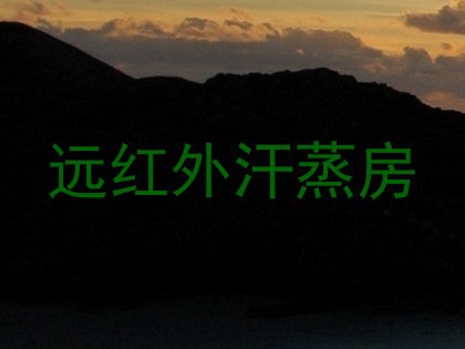 远红外汗蒸房