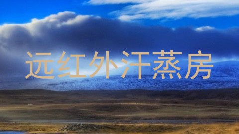 远红外汗蒸房