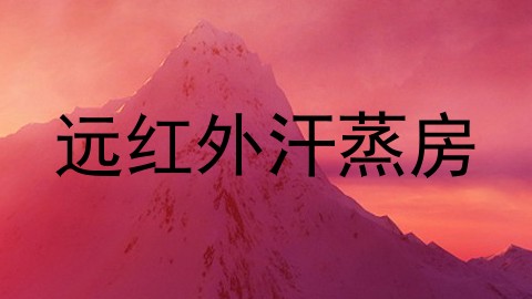 远红外汗蒸房