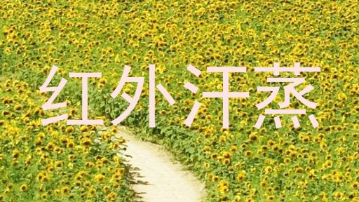 红外汗蒸