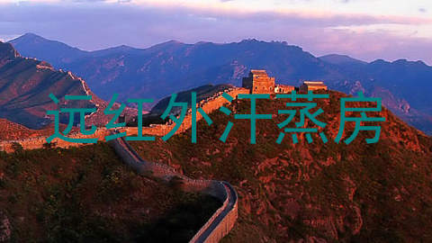 远红外汗蒸房