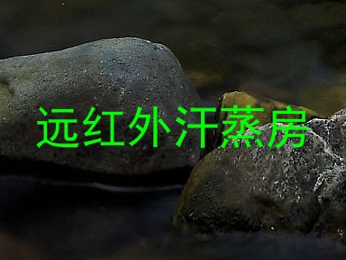 远红外汗蒸房
