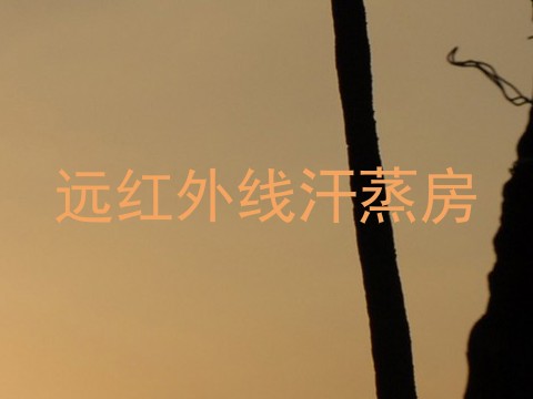 远红外线汗蒸房