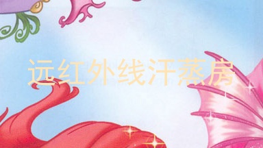 远红外线汗蒸房
