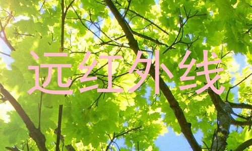 远红外线