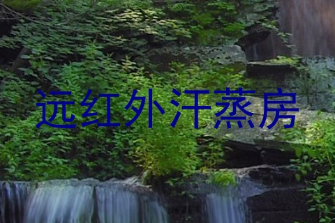 远红外汗蒸房