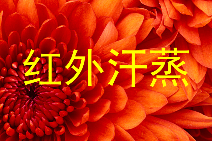 红外汗蒸