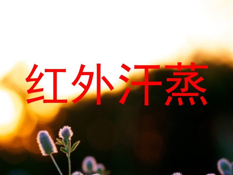 红外汗蒸