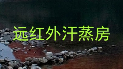 远红外汗蒸房