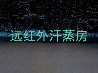 远红外汗蒸房