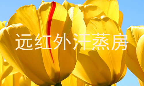 远红外汗蒸房