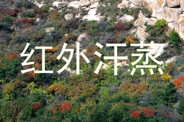 红外汗蒸