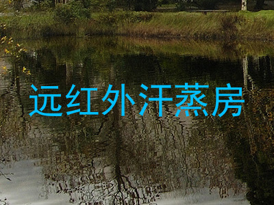 远红外汗蒸房
