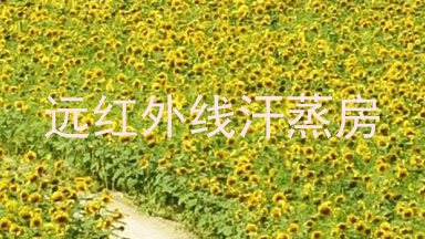 远红外线汗蒸房