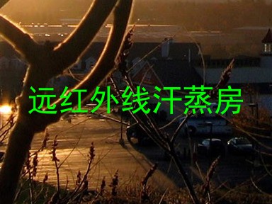 远红外线汗蒸房