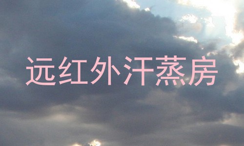 远红外汗蒸房