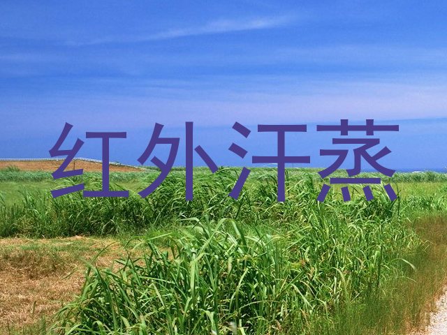 红外汗蒸