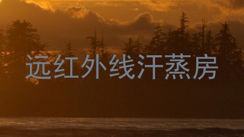 远红外线汗蒸房