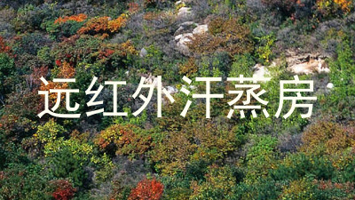 远红外汗蒸房
