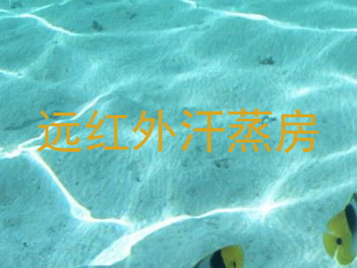 远红外汗蒸房