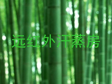远红外汗蒸房