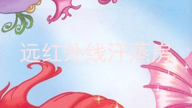 远红外线汗蒸房