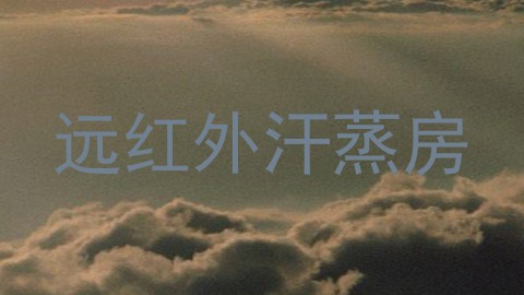远红外汗蒸房