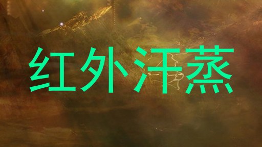 红外汗蒸