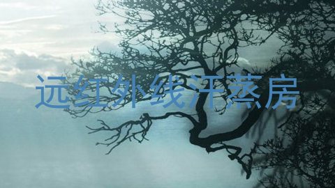 远红外线汗蒸房