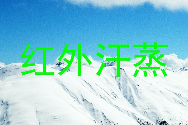 红外汗蒸