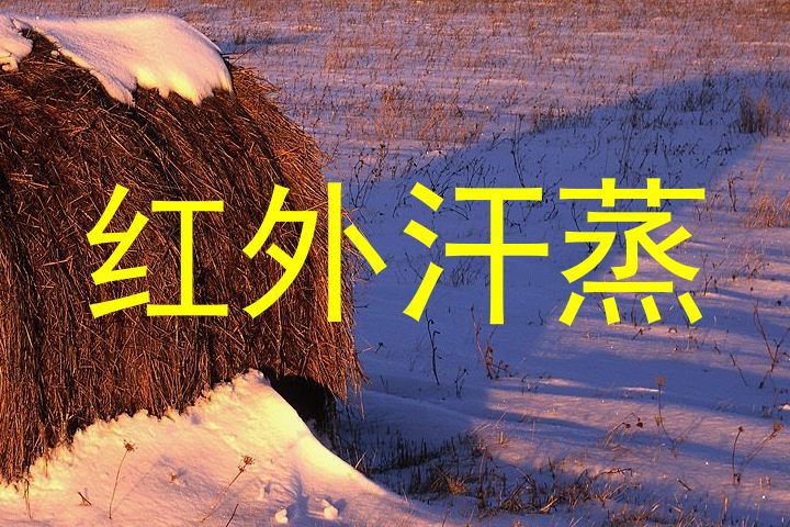 红外汗蒸