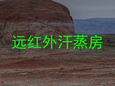 远红外汗蒸房