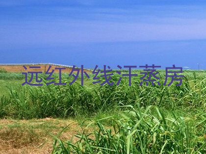 远红外线汗蒸房