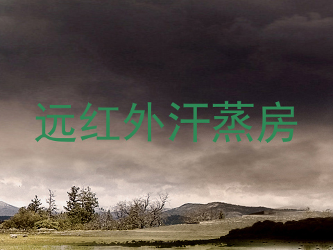远红外汗蒸房