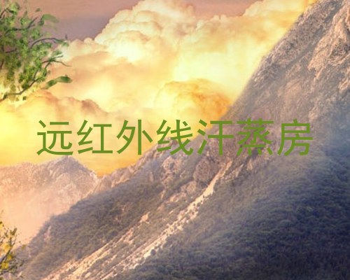 远红外线汗蒸房