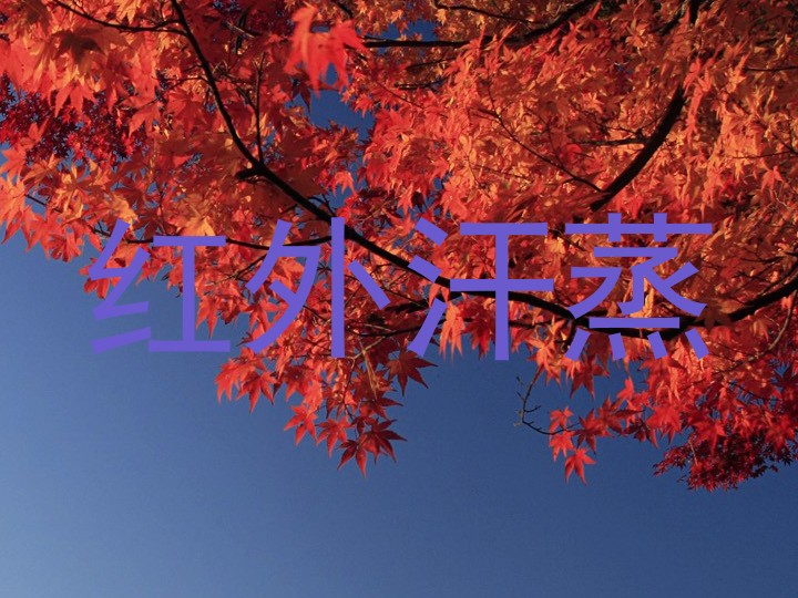 红外汗蒸