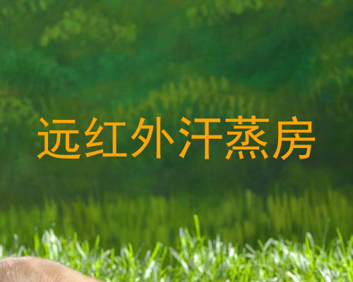 远红外汗蒸房